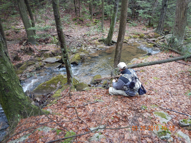 DSCN0911.jpg -                                