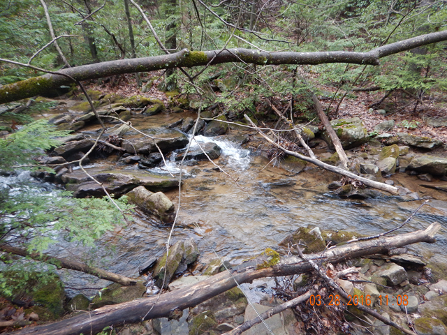 DSCN0914.jpg -                                