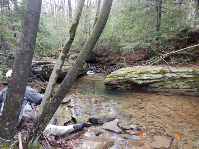 DSCN0926.jpg -                                