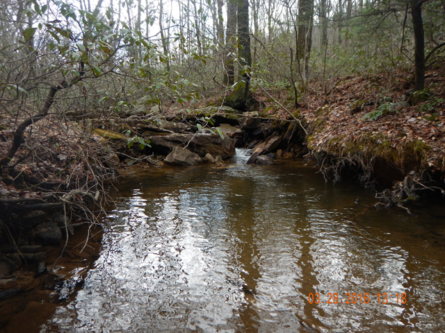 DSCN0940.jpg -                                