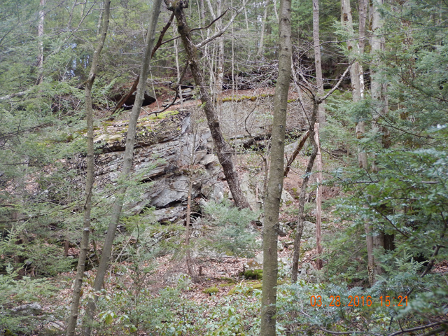 DSCN0956.jpg -                                
