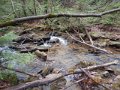 DSCN0914