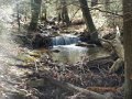 DSCN0933
