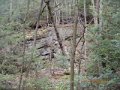 DSCN0956