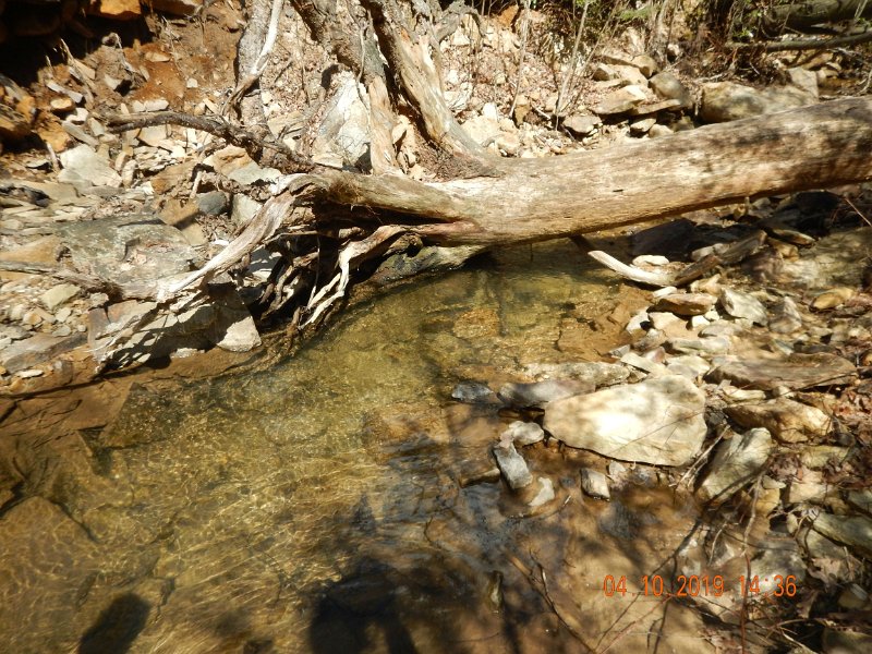 $StoneCabin2019$.jpg - We caught from this run and don't mind our shadows we were done fishing this spot.