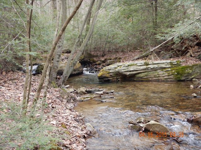 DSCN0232.jpg -                                This has to be one of the most beautiful streams near home.  Pulled a bunch from this hole.