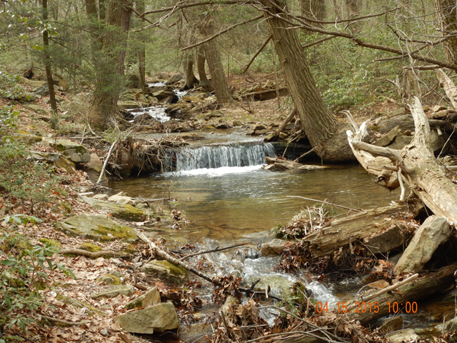 DSCN0239.jpg -                                Another holding area for native brookies.