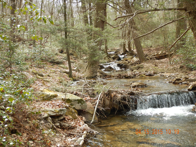 DSCN0242.jpg -                                Then there are holding areas just above this one.