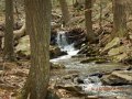 DSCN0238