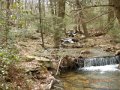 DSCN0242