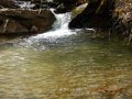 DSCN0247