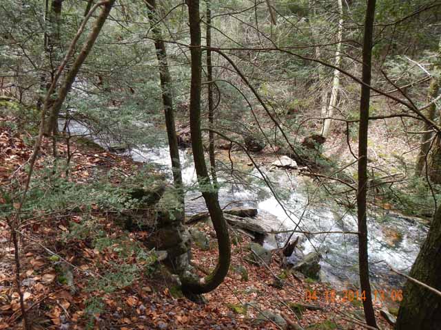 DSCN0485.jpg -                                Scenic 3