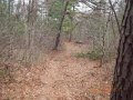 DSCN0480