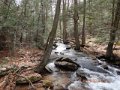 DSCN0491