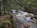 DSCN0494