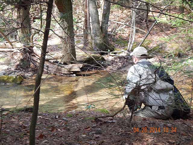 DSCN0512.jpg -                                