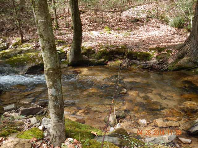 DSCN0514.jpg -                                