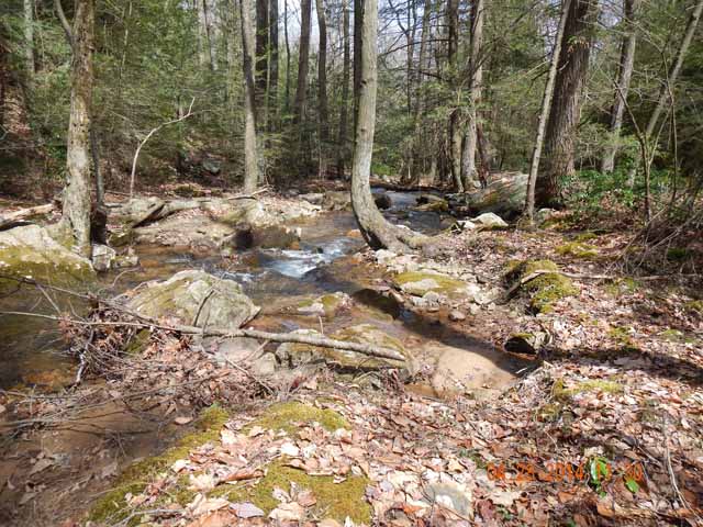 DSCN0515.jpg -                                