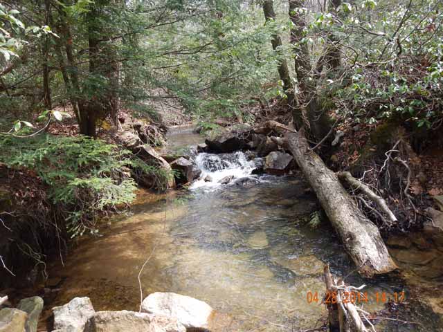 DSCN0528.jpg -                                