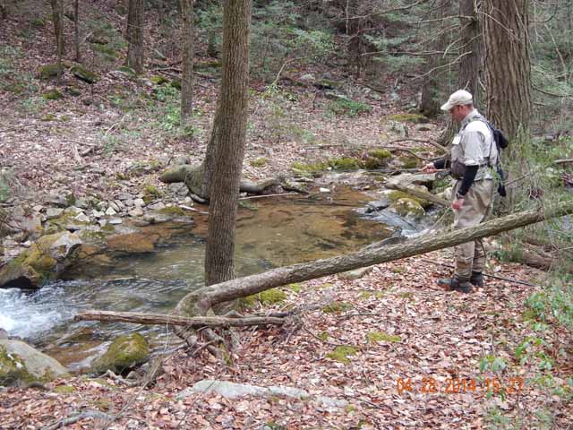 DSCN0532.jpg -                                