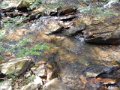 DSCN0518