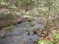 DSCN0519