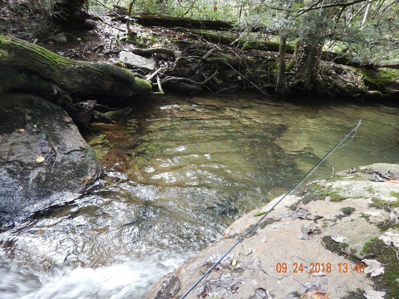 $Stone Cabin027$.jpg - He came from this deep hole on the first cast.