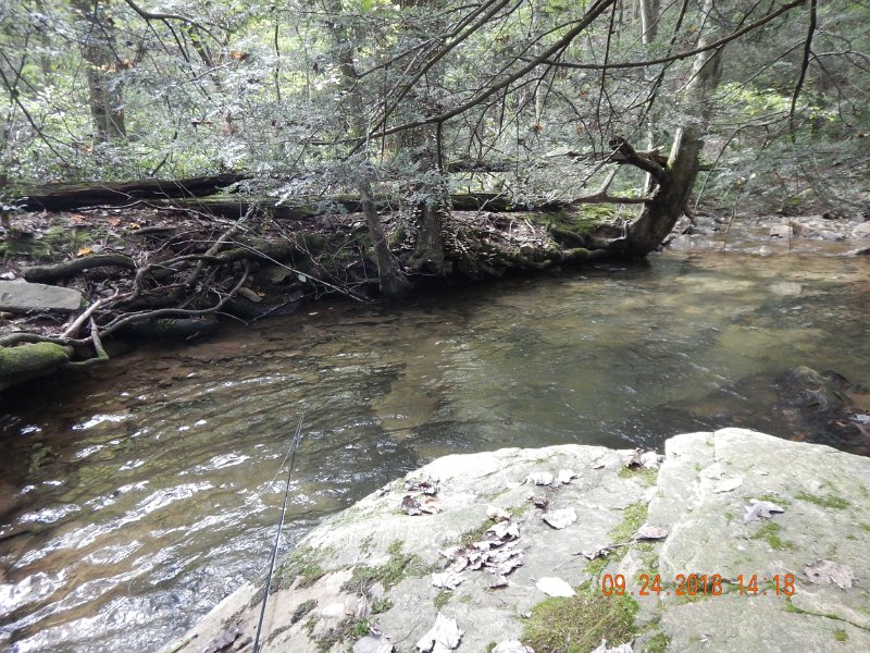 $Stone Cabin032$.jpg - Yep, still here.  I thought I'd stay till the fish stopped biting but they never did.