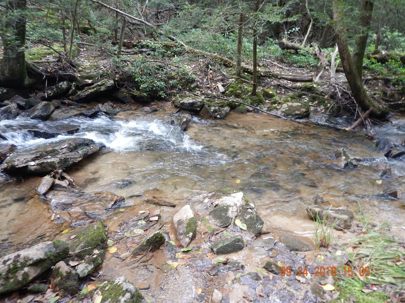 $Stone Cabin047$.jpg - Really, it was tough leaving the stream today.  Didn't see another human but I saw lots of fish.