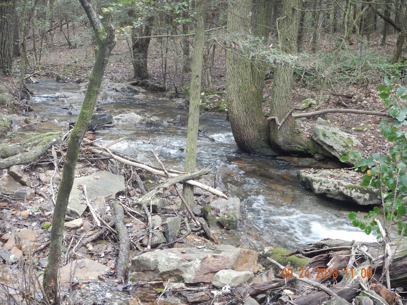 $Stone Cabin049$.jpg - It was hiding in the hole beneath the tree in this pic.