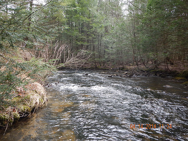 DSCN0460.jpg -                                Another look at the stream