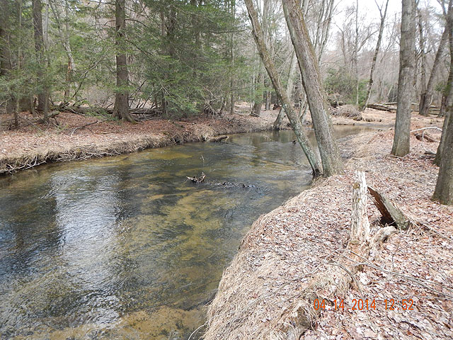 DSCN0465.jpg -                                Another view of the stream.