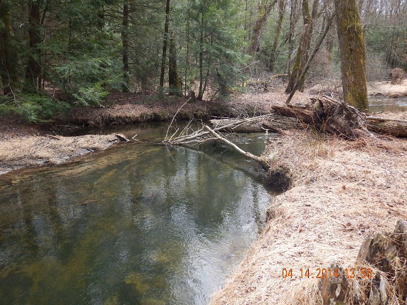 DSCN0470.JPG - Still another look at the stream.