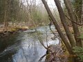 DSCN0458