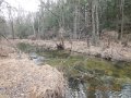 DSCN0461