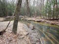 DSCN0466
