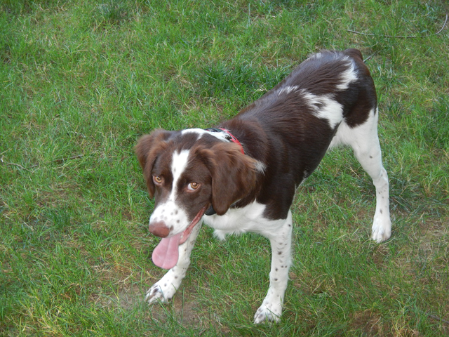 080420145.jpg -                                She seems to know I'm playing games with her. (7 mos)