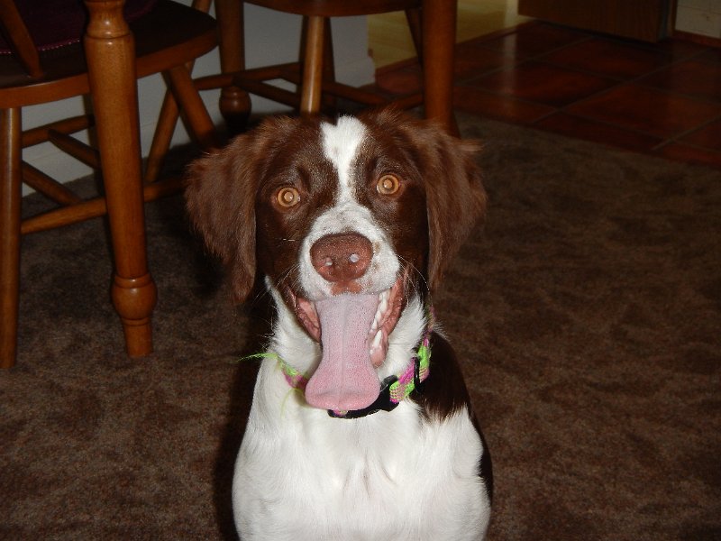 DSCN0288.JPG - And, still happy (6 mos)