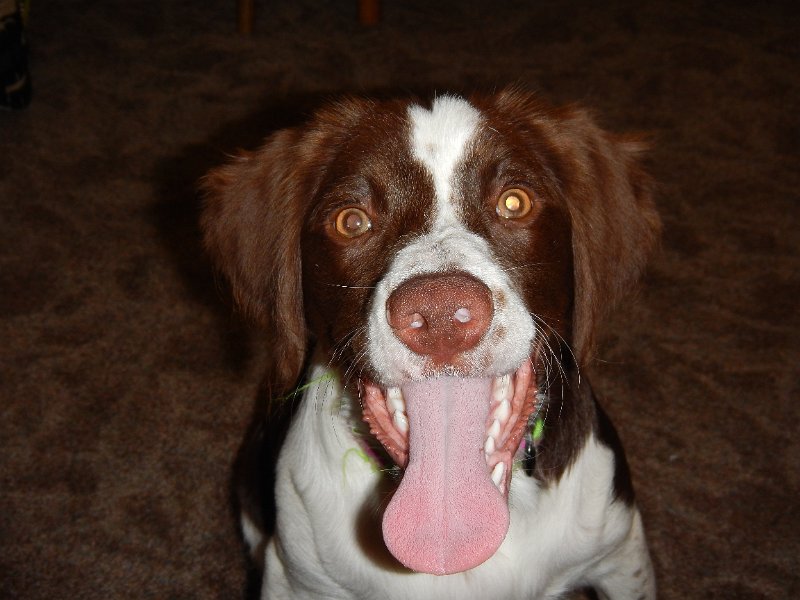 DSCN0293.JPG - Energetic (6 mos)