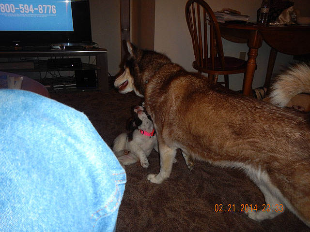 DSCN0398.jpg -                                