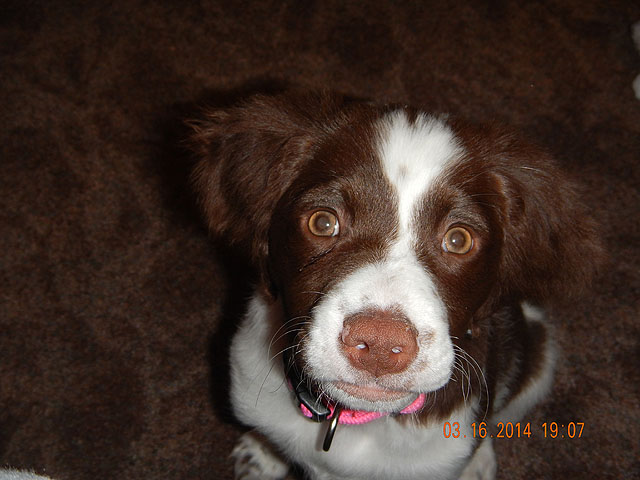 DSCN0424.jpg -         But still cute as can be.
