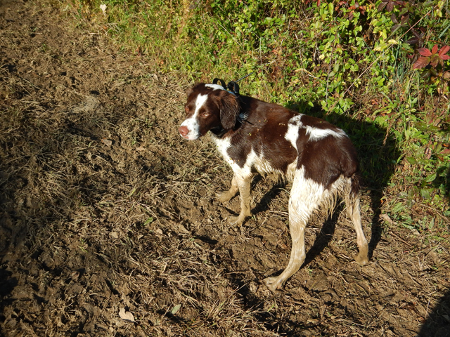 DSCN0535.jpg -                                As muddy as it gets...and lovin it!