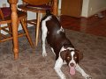 DSCN0275