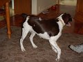 DSCN0284