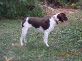 DSCN0653