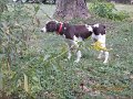 DSCN0656