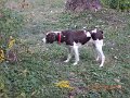 DSCN0657