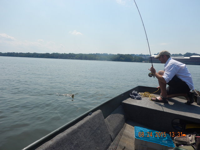 DSCN0600.jpg -                                Still, not big fish, but lots of action.