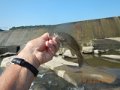 DSCN0589