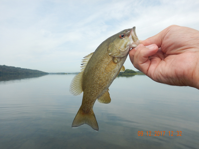 DSCN2585.jpg -                                Well, back to fishing and another one for Gary.
